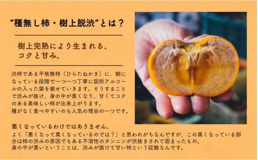 ◆2025年秋発送◆＜ 種無し柿（樹上脱渋）・約5kg ＞ ※2025年10月下旬～11月下旬頃に順次発送予定