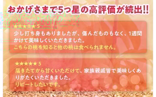 透過式光センサー川中島白桃 特秀3kg相当 9玉～11玉＜ ふくしま未来農業協同組合 ＞ | ふくしま 桃 福島 もも 国見 モモ ※2026年8月中旬頃より順次発送予定 ※沖縄・離島への配送不可