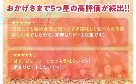 透過式光センサーまどか桃 特秀3kg相当 9玉～11玉＜ ふくしま未来農業協同組合 ＞ | ふくしま 桃 福島 もも 国見 モモ ※2026年8月上旬～8月中旬頃に順次発送予定 ※沖縄・離島への配送不可