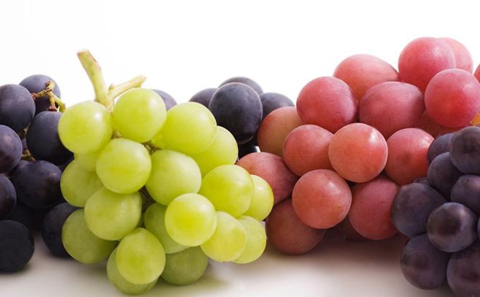 ぶどう「大人気のシャインマスカット」と旬のぶどうセット 3kg　※沖縄・離島への配送不可　※2024年9月上旬～9月下旬頃に順次発送予定