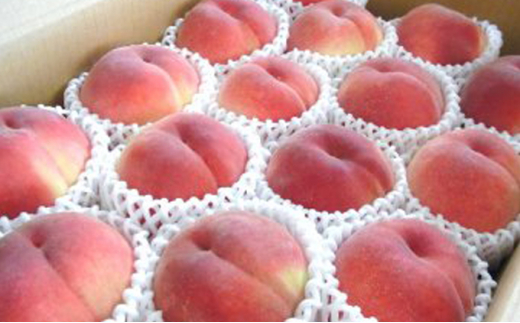 国見町産桃 特秀 5kg箱（13～18玉）※沖縄・離島への配送不可　※2025年8月上旬～8月下旬頃に順次発送予定