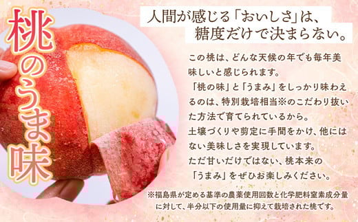 ◆2026年夏発送◆桃源の極み～産直・桃・約1kg×3回～ ※離島への配送不可 ※2026年7月上旬～9月上旬頃に順次発送予定 ｜ 先行予約 予約 数量限定 桃 もも モモ 果物 くだもの フルーツ 詰め合わせ 福島 ふくしま