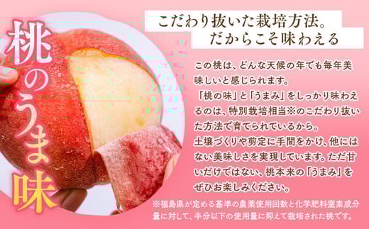 ◆2026年夏発送◆暁星～産直・桃・約5kg～ ※離島への配送不可 ※2026年7月上旬～7月下旬頃に順次発送予定 ｜ 先行予約 予約 数量限定 桃 もも モモ 果物 くだもの フルーツ 詰め合わせ 福島 ふくしま