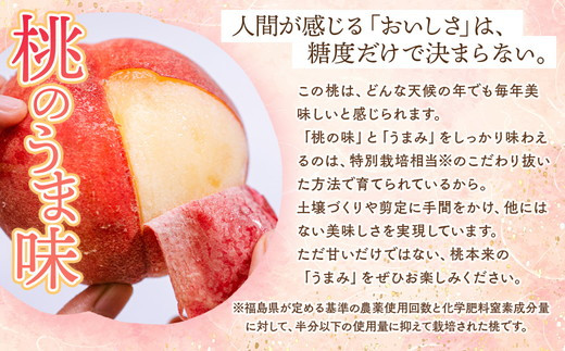 ◆2026年夏発送◆桃源のめぐみ ～産直・桃・約2kg～ ※離島への配送不可 ※2026年7月上旬～9月上旬頃に順次発送予定｜先行予約 予約 桃 もも モモ 果物 くだもの フルーツ 詰め合わせ 福島 ふくしま