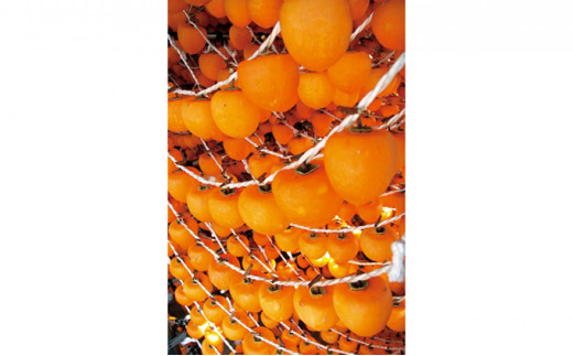 あんぽ柿 蜂屋柿 トレー 230g×8パック◇ ※沖縄・離島への配送不可 ※2025年12月中旬～2026年3月中旬頃に順次発送予定