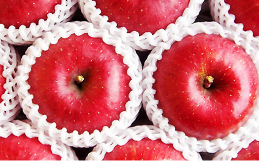 国見町産「サンふじ」5kg箱（13～18玉）※沖縄・離島への配送不可　※2025年11月中旬～12月下旬頃に順次発送予定