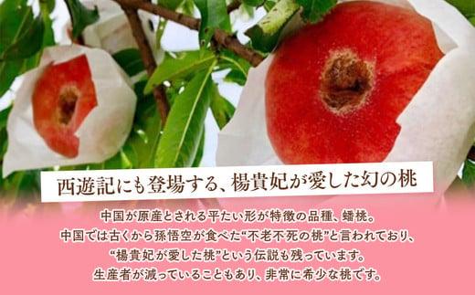 ◆2026年夏発送◆＜ 蟠桃・約2kg ＞ ※離島への配送不可 ※2026年7月中旬頃〜8月下旬頃までに順次発送｜先行予約 予約 数量限定 桃 もも モモ 果物 くだもの フルーツ 詰め合わせ 福島 ふくしま