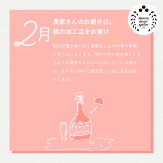 【限定】桃の木オーナー制度2023「川中島白桃」3kg×3箱 計9kg(1箱/約10個) ※着日指定不可 ※沖縄・離島への配送不可 ※2023年8月頃に順次発送予定