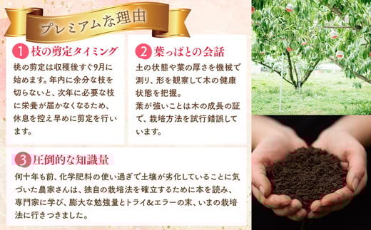 ◆2026年夏発送◆桃源のめぐみ ～産直・桃・約2kg～ ※離島への配送不可 ※2026年7月上旬～9月上旬頃に順次発送予定｜先行予約 予約 桃 もも モモ 果物 くだもの フルーツ 詰め合わせ 福島 ふくしま