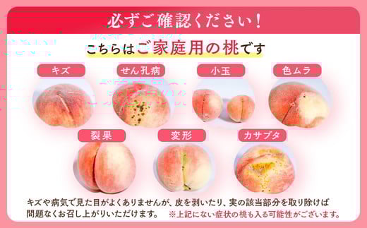 ◆2026年夏発送◆＜産直・家庭用桃・約5kg＞ ※北海道・沖縄・離島への配送不可 ※2026年7月上旬～9月上旬頃に順次発送予定｜先行予約 予約 桃 もも モモ 果物 くだもの フルーツ 訳あり 家庭用 詰め合わせ 福島 ふくしま