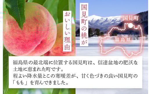 透過式光センサー川中島白桃 特秀3kg相当 9玉～11玉＜ ふくしま未来農業協同組合 ＞ | ふくしま 桃 福島 もも 国見 モモ ※2026年8月中旬頃より順次発送予定 ※沖縄・離島への配送不可