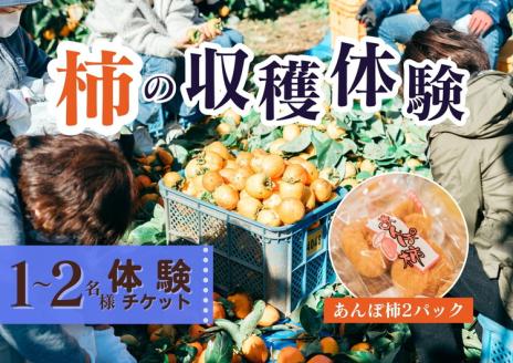 【季節限定】1～2人用／柿の収穫体験 チケット あんぽ柿（2トレー） ※着日指定不可 ※沖縄・離島への配送不可 ※2023年10月上旬～2024年2月下旬頃に順次発送予定