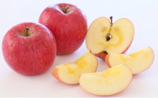 国見町産「サンふじ」5kg箱（13～18玉）※沖縄・離島への配送不可　※2025年11月中旬～12月下旬頃に順次発送予定