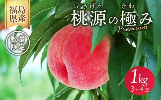 ◆2026年夏発送◆ 桃源の極み ～産直・桃・約1kg ※離島への配送不可 ※2026年7月上旬～9月上旬頃に順次発送予定｜先行予約 予約 桃 もも モモ 果物 くだもの フルーツ 詰め合わせ 福島 ふくしま