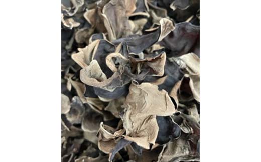 【特選】＜西会津産＞乾燥きくらげ大セット F4D-0228