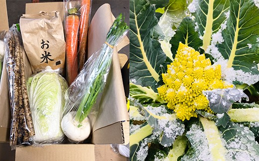 西会津野菜セット定期便（大）10回 F4D-1402