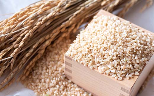 令和7年産米 西会津産米 至福米コシヒカリ 玄米 2kg F4D-2121