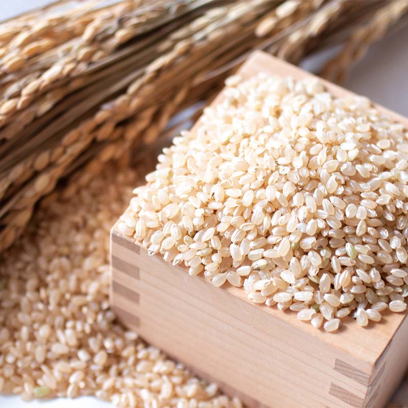 ＜定期便6ヶ月＞ 西会津産米 至福米コシヒカリ 玄米 8kg  F4D-2162