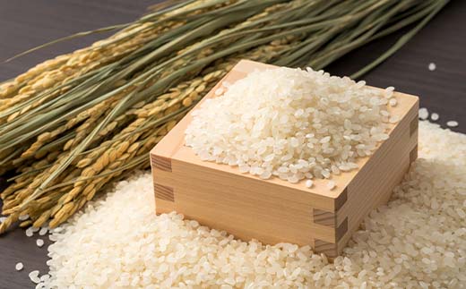 ＜定期便3ヶ月＞ 西会津産米 至福米コシヒカリ 精米 10kg  F4D-2165