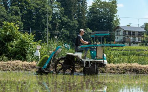 《定期便6ヶ月》 減農薬・減化学肥料栽培 西会津産米 ミルキークイーン 精米 5kg 米 お米 おこめ ご飯 ごはん 福島県 西会津町 F4D-0457