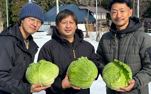 甘みたっぷり 雪下キャベツ 約2kg 野菜 キャベツ 食品 西会津 F4D-2175