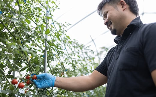西会津ミネラル野菜セット(大)＜10～12種類程＞ 朝採れ 野菜 セット 詰合せ 契約農家 朝採り 採れたて 新鮮 食品 F4D-1399