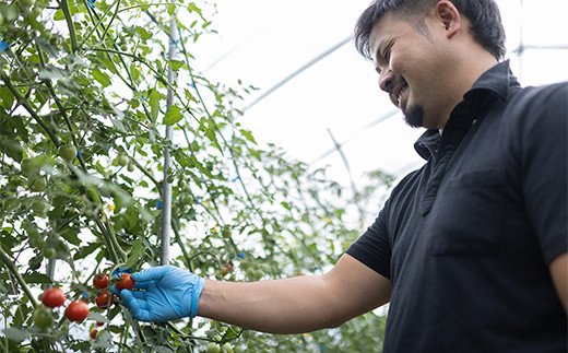 西会津野菜セット定期便（大）5回 F4D-1401