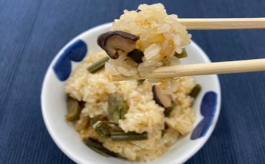 西会津のおこわセット おこわ お米 もち米 炊飯 F4D-1427