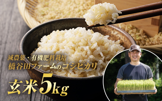 令和7年産 減農薬・有機肥料栽培コシヒカリ 玄米 5kg 米 お米 おこめ ご飯 ごはん 福島県 西会津町 F4D-2195