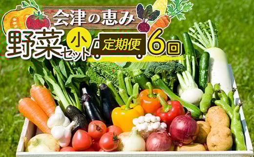 《定期便》＜3市町村共通返礼品＞会津の恵み野菜セット(小)《全6回》 朝採れ 野菜 お米 精米 米 セット 詰合せ 契約農家 朝採り 採れたて 新鮮 会津野菜 定期便 6回 6ヶ月 連続 F4D-1412