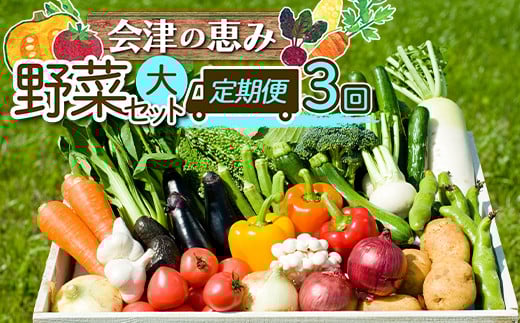 《定期便》＜3市町村共通返礼品＞会津の恵み野菜セット(大)《全3回》 朝採れ 野菜 お米 精米 米 セット 詰合せ 契約農家 朝採り 採れたて 新鮮 会津野菜 定期便 3回 3ヶ月 連続 F4D-1414