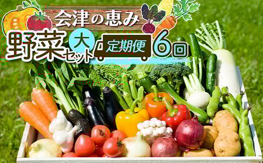 《定期便》＜3市町村共通返礼品＞会津の恵み野菜セット(大)《全6回》 朝採れ 野菜 お米 精米 米 セット 詰合せ 契約農家 朝採り 採れたて 新鮮 会津野菜 定期便 6回 6ヶ月 連続 F4D-1415