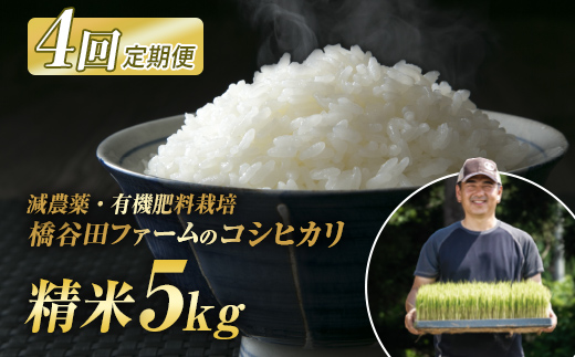 《定期便4ヶ月》 減農薬・有機肥料栽培 西会津産米コシヒカリ 精米 5kg 米 お米 おこめ ご飯 ごはん 福島県 西会津町 F4D-2186