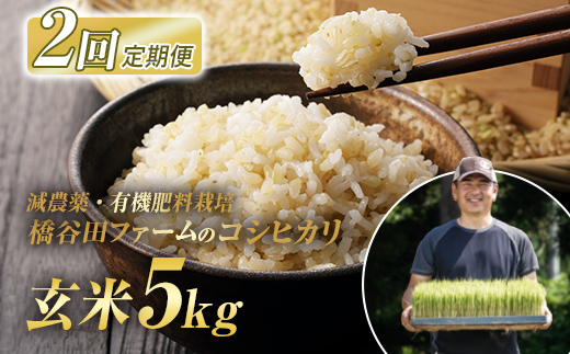 《定期便2ヶ月》 減農薬・有機肥料栽培 西会津産米コシヒカリ 玄米 5kg 米 お米 おこめ ご飯 ごはん 福島県 西会津町 F4D-2196