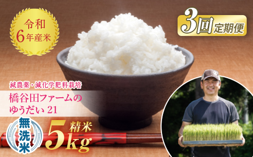 《定期便3ヶ月》 減農薬・減化学肥料栽培 西会津産米 ゆうだい21 無洗米 5kg F4D-1235