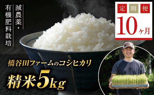 《定期便10ヶ月》減農薬・有機肥料栽培 西会津産米コシヒカリ 精米 5kg 米 お米 おこめ ご飯 ごはん 福島県 西会津町 F4D-0384