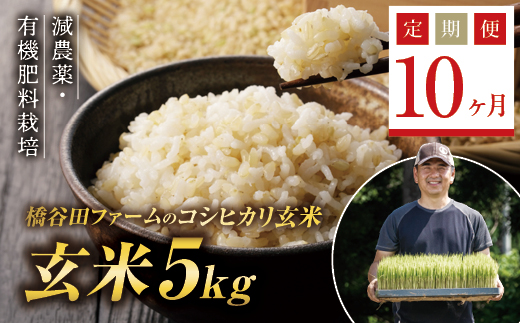 《定期便10ヶ月》減農薬・有機肥料栽培 西会津産米コシヒカリ 玄米 5kg 米 お米 おこめ ご飯 ごはん 福島県 西会津町 F4D-0395