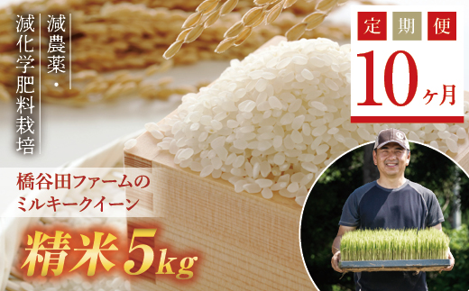 《定期便10ヶ月》 減農薬・減化学肥料栽培 西会津産米 ミルキークイーン 精米 5kg 米 お米 おこめ ご飯 ごはん 福島県 西会津町 F4D-0461
