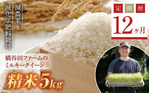 《定期便12ヶ月》 減農薬・減化学肥料栽培 西会津産米 ミルキークイーン 精米 5kg 米 お米 おこめ ご飯 ごはん 福島県 西会津町 F4D-0463