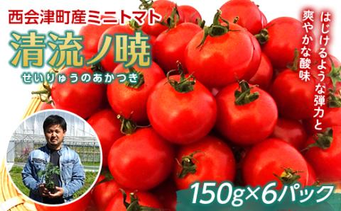 西会津町 坂井農園謹製 清流ノ暁(せいりゅうのあかつき) ミニトマト