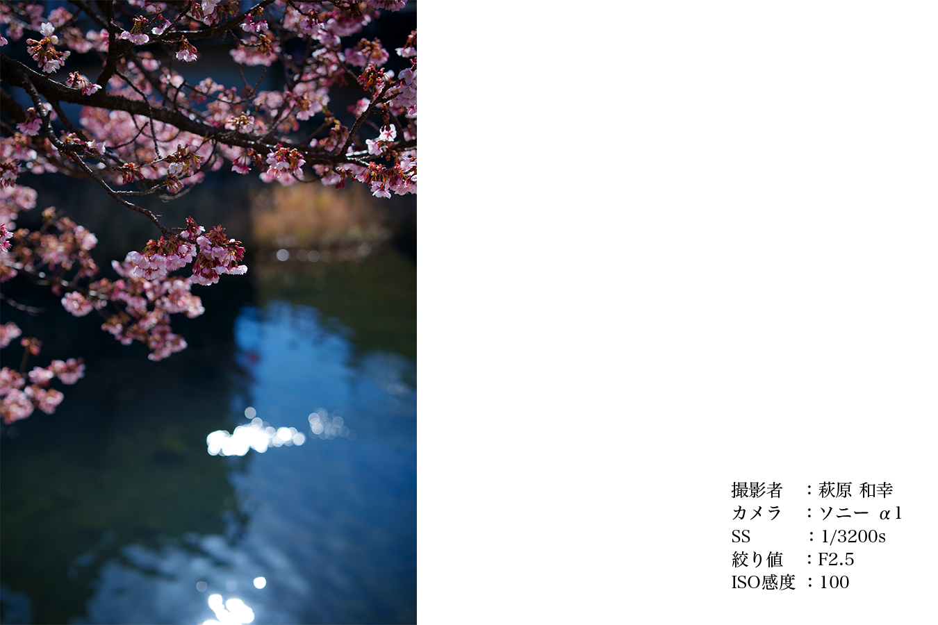 【ソニーEマウント用】SIGMA 50mm F1.4 DG DN | Art