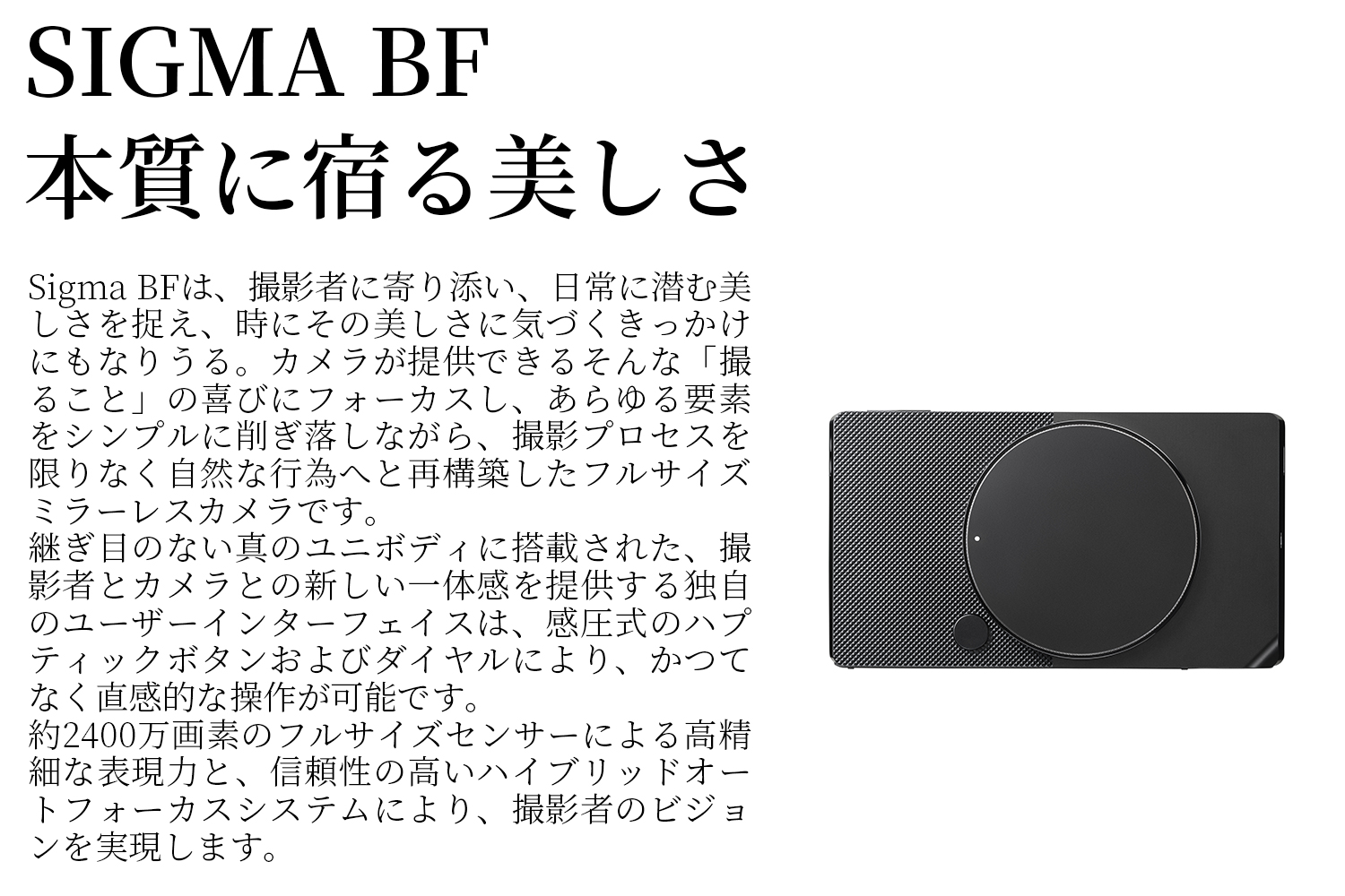 SIGMA BF【ブラック】 ブラック