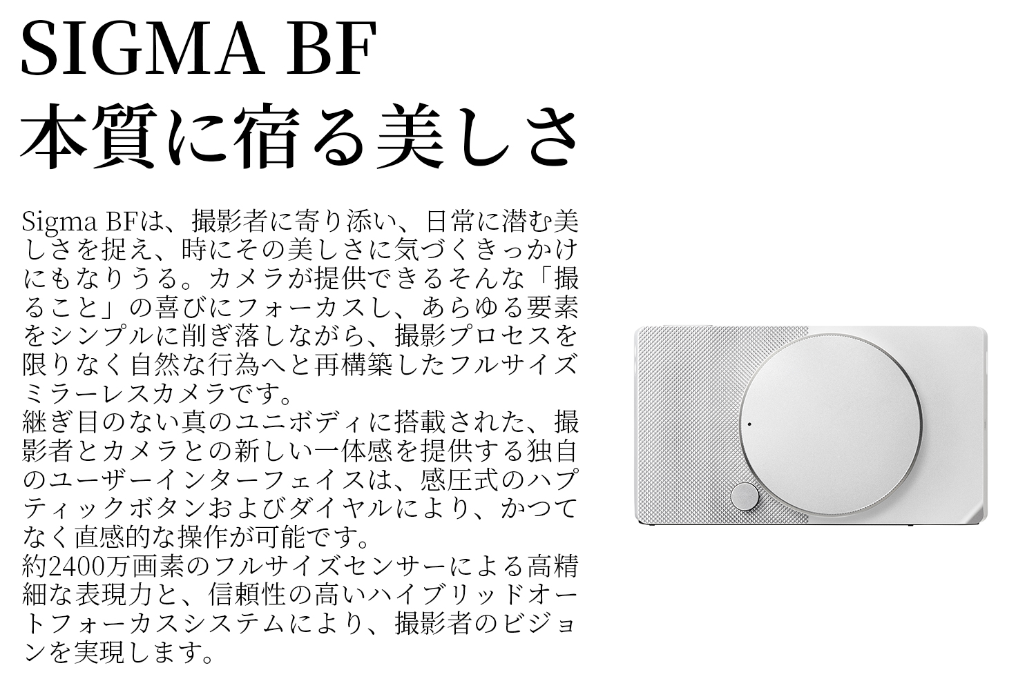 SIGMA BF【シルバー】 シルバー