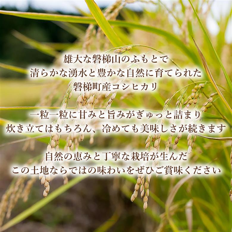 【令和7年産米】会津・磐梯町産コシヒカリ 8kg ｜日本名水百選の名水育ち｜精米したてを直送｜冷めてもおいしい人気米｜一等米