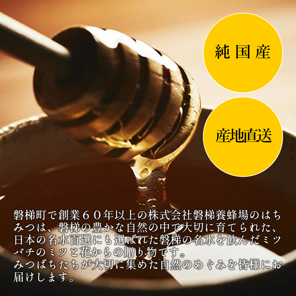 国産純粋はちみつ 天然 農林水産大臣賞 磐梯はちみつ 250g［チューブ］ アカシヤ