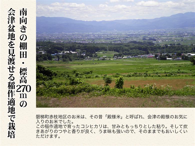 【令和7年産新米】農薬87%削減　コシヒカリ米　合鴨農法　10kg(特別栽培米、旧名：会津磐梯山黄金米）