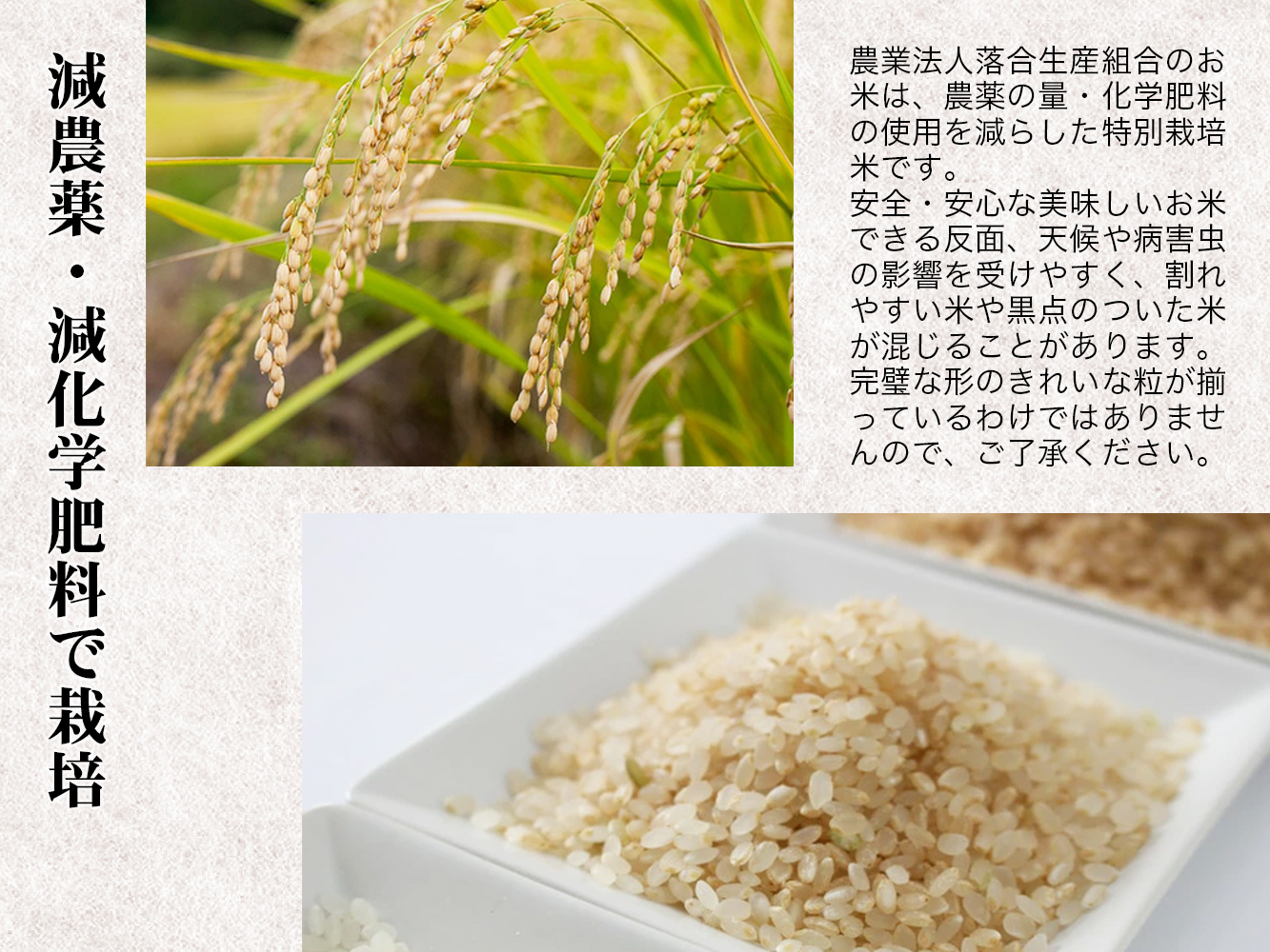 【令和7年産】Aランク会津コシヒカリ特別栽培米「磐梯渓谷」 （減農薬栽培）玄米20kg