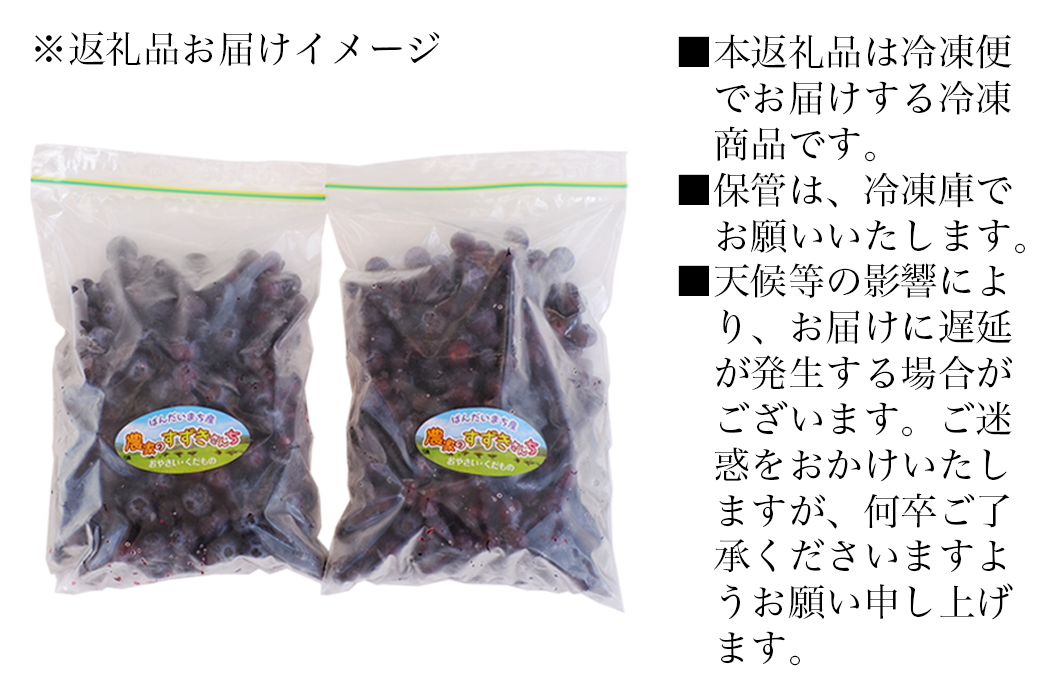 冷凍ブルーベリー 1kg 直径13mm以上