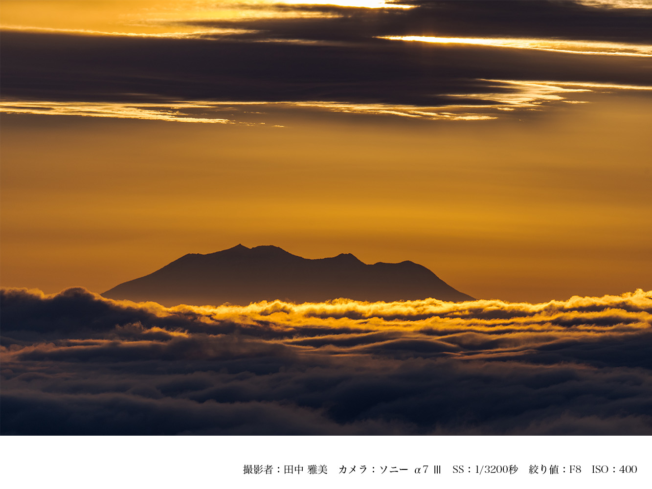 SIGMA 500mm F5.6 DG DN OS Sports（Lマウント）