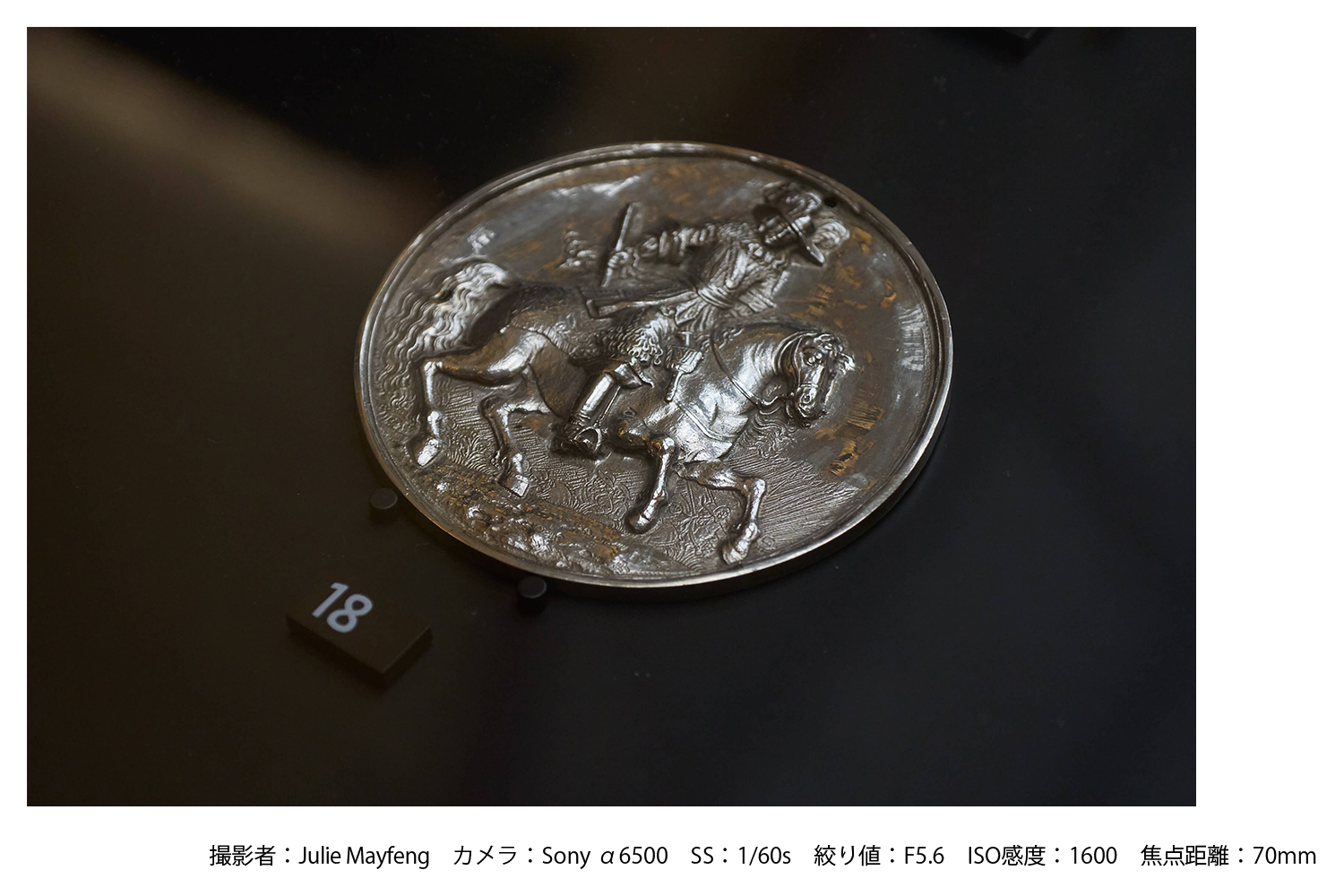 SIGMA 16-300mm F3.5-6.7 DC OS | Contemporary【Lマウント用】